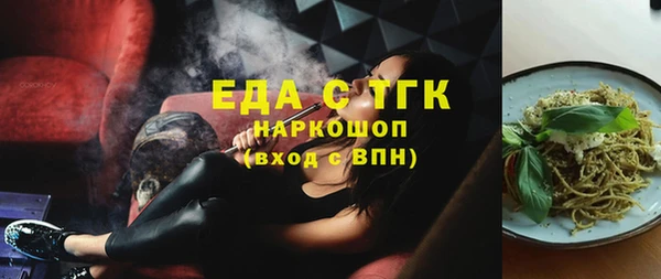 индика Елизово