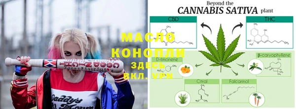 индика Елизово