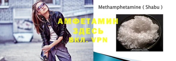 индика Елизово