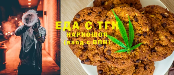 индика Елизово