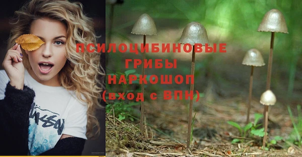 гашишное масло Ельня
