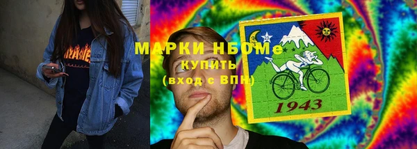 индика Елизово