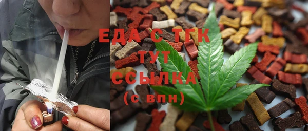 индика Елизово