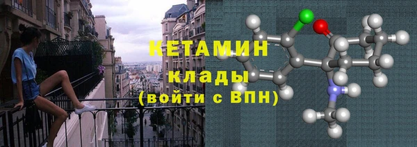 индика Елизово