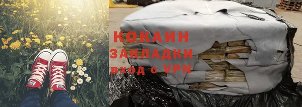 индика Елизово