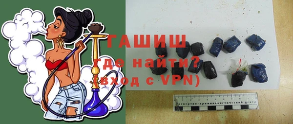 индика Елизово