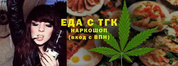 индика Елизово