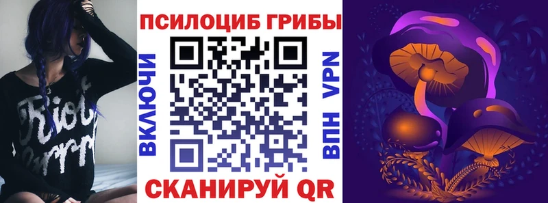 Купить закладки  Корсаков  Галлюциногенные грибы Cubensis 